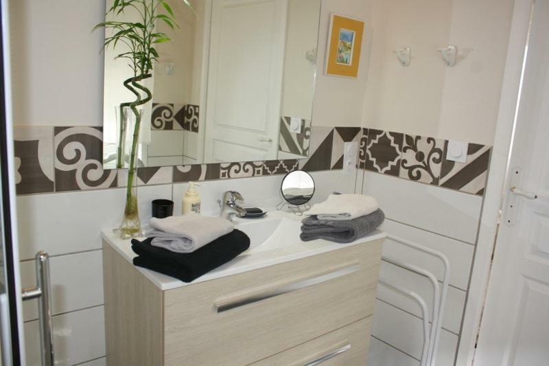 La Pecherie Bed & Breakfast แซลส์-ซูร์-แชร์ ภายนอก รูปภาพ