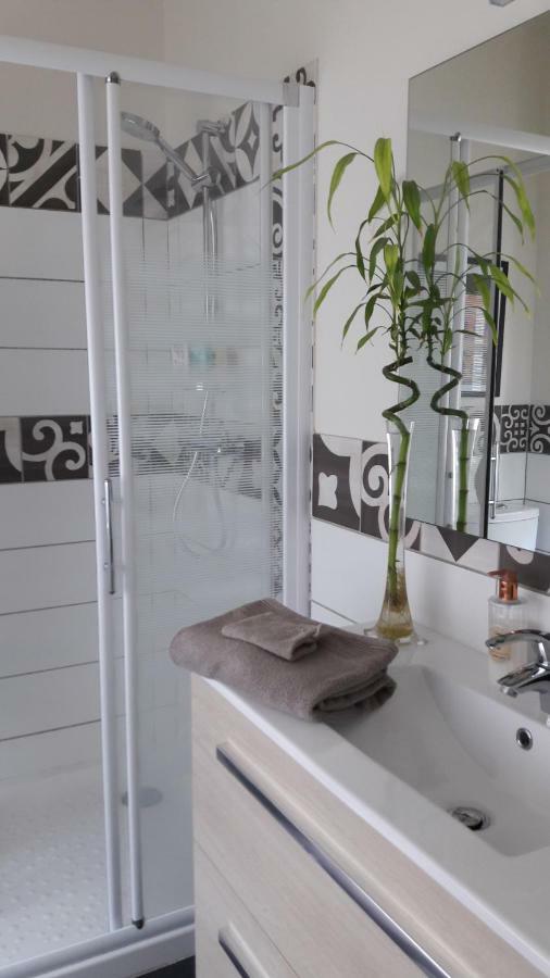 La Pecherie Bed & Breakfast แซลส์-ซูร์-แชร์ ภายนอก รูปภาพ